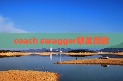 coach swagger明星同款