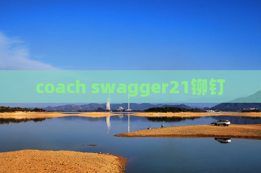coach swagger21铆钉
